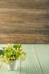 Linden Flowers Background