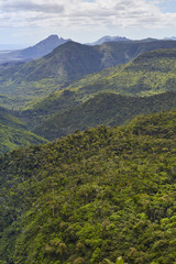 Fototapeta premium Black River Valley 2