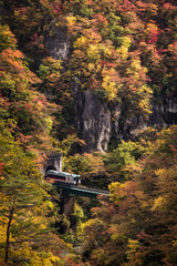 Rikuu line at Naruko gorge in autumn