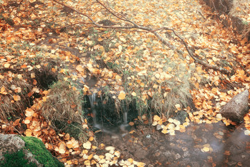 Beautiful typical autumn landscape