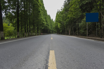 Landscape with curvy road at bright summer day