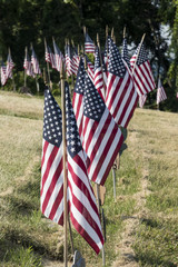 Flag at Cemetery