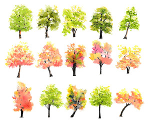Fototapeta premium Collection of watercolor trees on white background, hand painted, tree illustrator