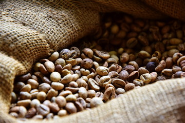 Unrefined coffee beans in a jute bag