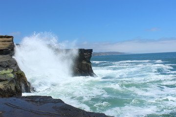la lobera baja california