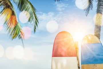 Many surfboards beside coconut trees at summer beach with sun light and blue sky background.