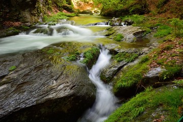 Fototapeta premium 夏山の林の中の渓流