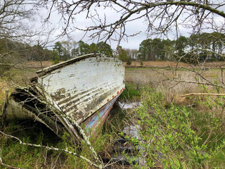 Eastern Shore