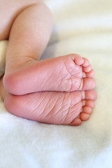 feet of a sleeping newborn baby close-up