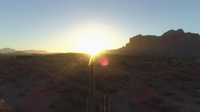 4K Desert Sunrise with Sun Around Saguaro Cactus with Birds Flying