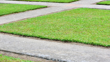 Obraz premium Green grass, old concrete paths criss cross