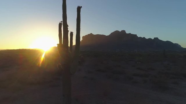 4K Desert Sunrise with Sun Peaking Through Saguaro Cactus by Superstition Mountains