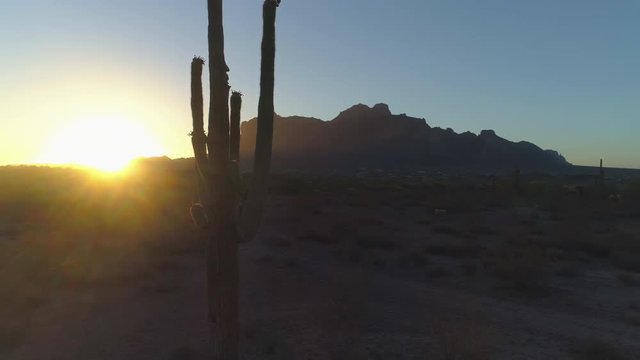 4K Desert Sunrise with Sun Peaking Through Saguaro Cactus by Superstition Mountains