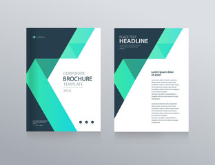 layout design  and background template for business brochure, flyer ,report , with cover design
