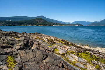Fototapeta na wymiar green algae covered rocky beach under the blue sky with forest covered mountains on the far side