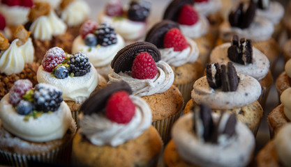 Creamy Topped Cupcakes