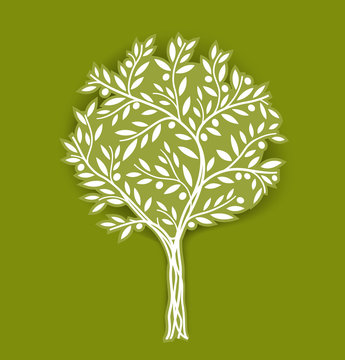Olive tree. Vector illustration. It can be use for packaging, label, icon and etc. EPS10.