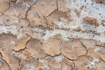 Salt on the soil surface