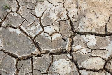 Salt on the soil surface