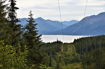 Mountains, Trees and Water