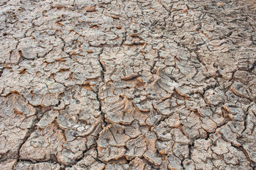 Salt on the soil surface