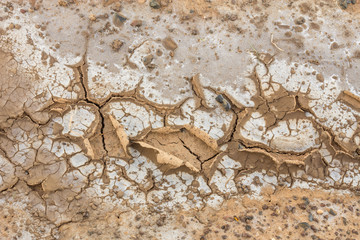 Salt on the soil surface