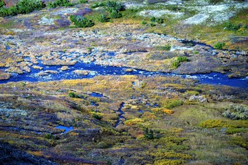 Rivers Around Alaska