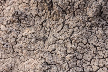 Dry soil