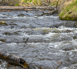 Ripples in Time