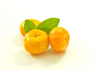 Orange fruit