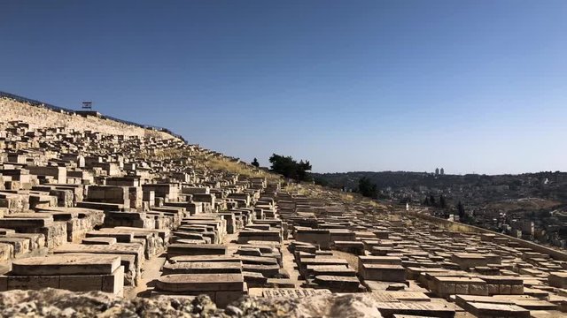 Scenes from the Holy Land
