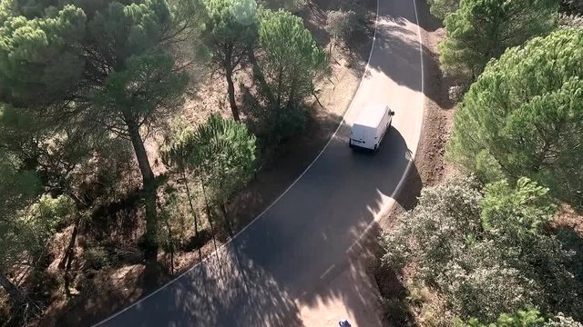 aerial slow-motion shot of minivan moving in the sunny pine-tree forest.