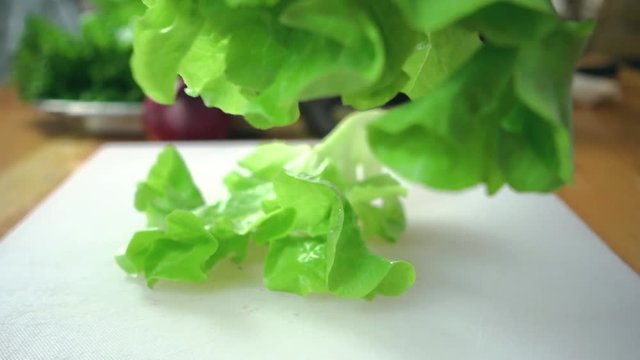Slow motion - Close up of chief man making salad healthy food and chopping lettuce on cutting board in the kitchen.