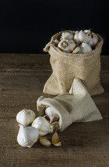 bulb of white garlic on back background and wood flour