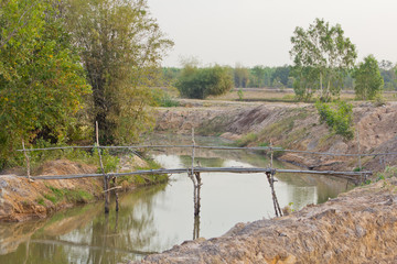 Bamboo bridge