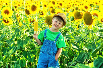 Boy eating corn in the field .Healthy eating concept © fisher05