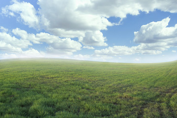 Fototapeta na wymiar Beautiful meadow and sky-color effect