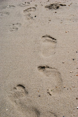 Fototapeta na wymiar Vertical photo of footprints on the wet sand on sunny day