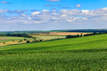 Summer landscape with green fields, hills and blue sky