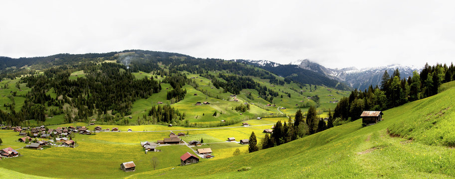 Gstaad Wintermatte Chalet Village &ndash; Spectacular Super wide panorama &ndash; Beautiful Swiss chalet village & scattered chalets&ndash; super-pollination has resulted in humungous numbers of yellow wildflowers.