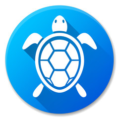 Obraz premium turtle blue circle icon design