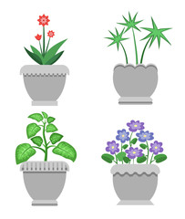 Indoor Plants and Flowers in Ceramic Pots Set