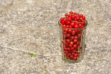 Harvesting. A glass of currant. Sale of fruits and berries.