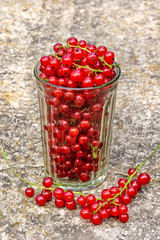 Harvesting. A glass of currant. Sale of fruits and berries.