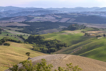 hilly landscape