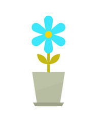 Indoor Flower in Grey Clay Pot with Blue Blossom