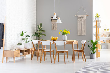 White chairs at wooden table with yellow flowers in dining room interior with plants. Real photo