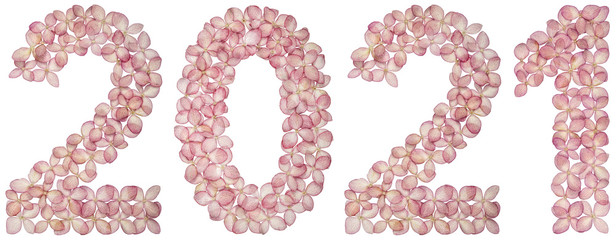 Numeral 2021 from flowers of hydrangea, isolated on white background