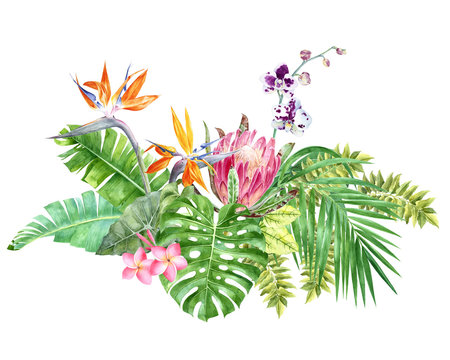 Bright tropical border with jungle leaves and flowers