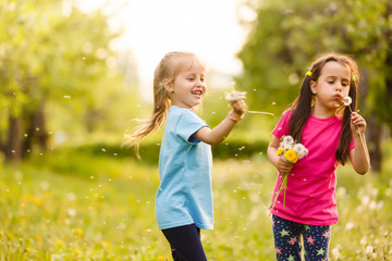 Two happy little sisters on the field with dandelions